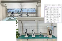 Execute Inspection Task
