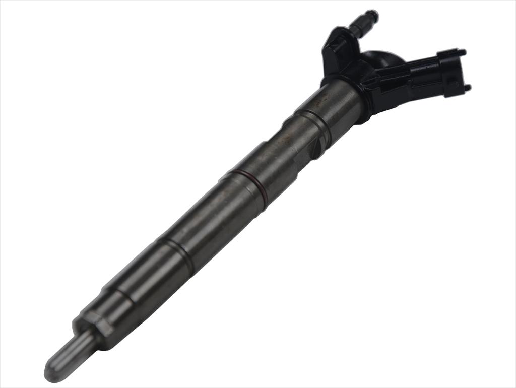 Delphi Common Rail Injector