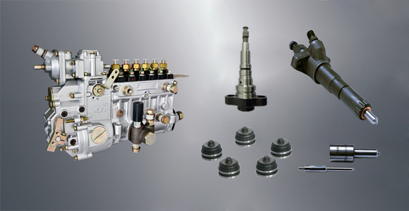 China OEM Fuel Injection Parts